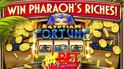 A Experiência Imersiva dos Cassinos Ao Vivo no pfbet